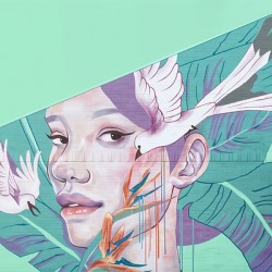 Fortune Favors the Beautiful