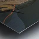 Heron Maiden Metal print